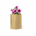 Vaso con fiori
