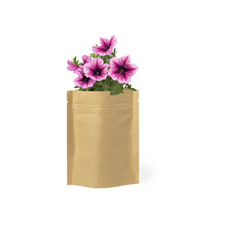 Vaso con fiori