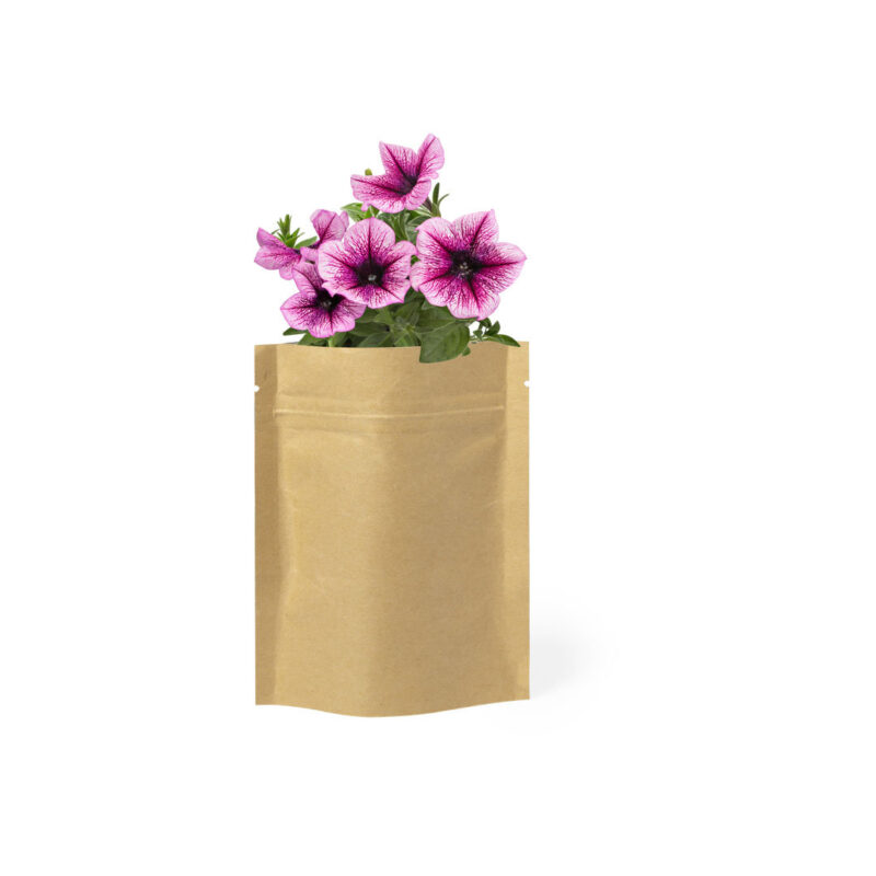 Vaso con fiori