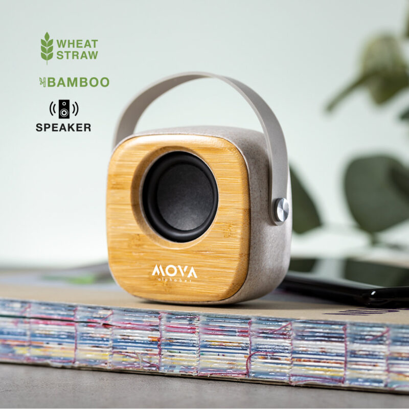 Speaker in bambù