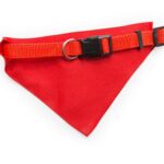 Collana Bandana Roco - immagine 4