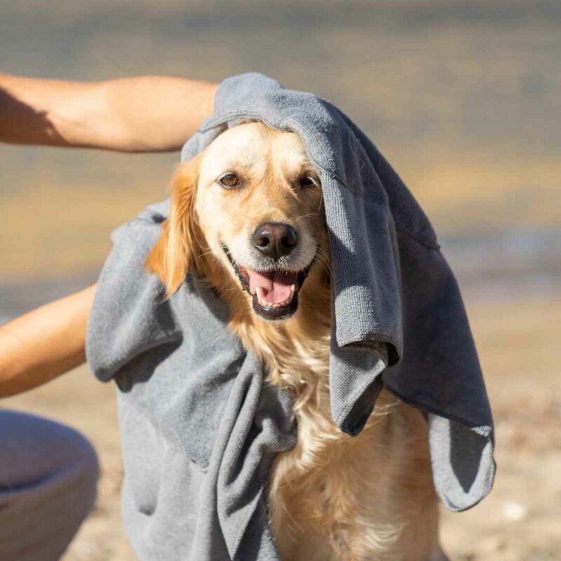 Asciugamano Per Animali - immagine 6