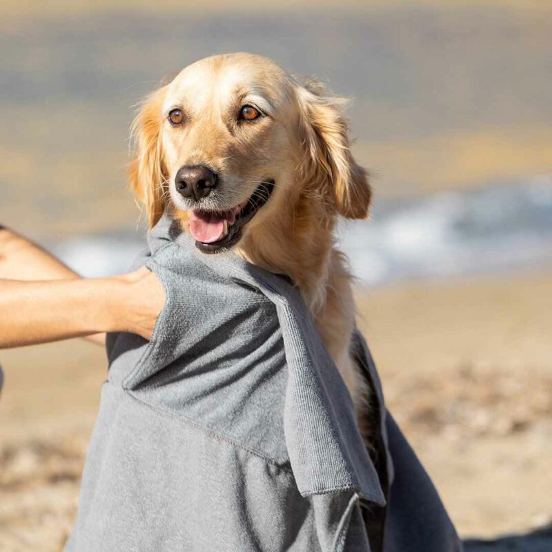 Asciugamano Per Animali - immagine 7