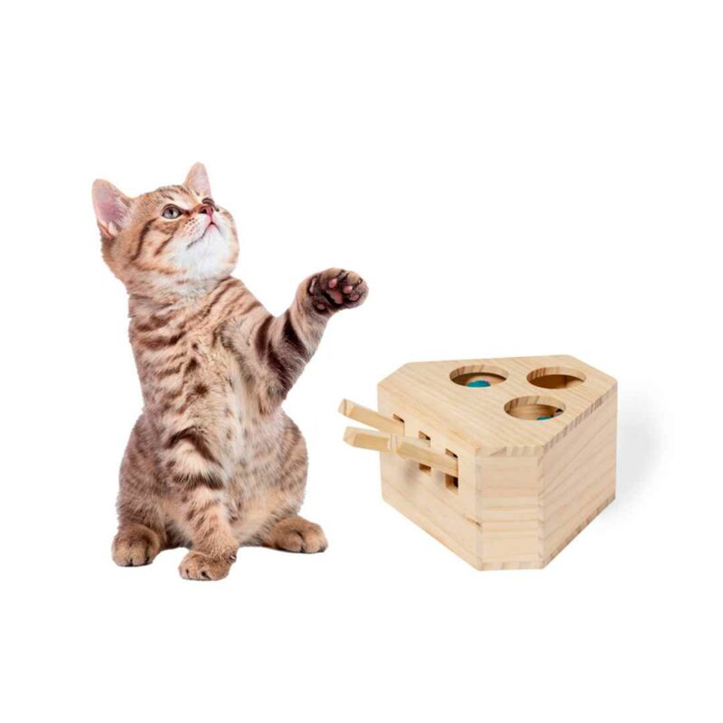 Gioco Per Animali - immagine 5