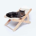 Sedia Per Animali - immagine 5