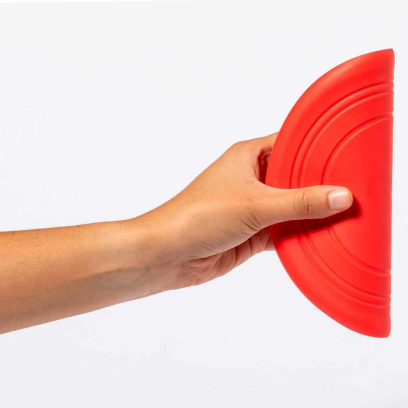 Frisbee per animali domestici - immagine 3