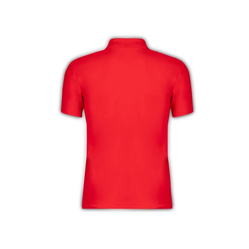 Polo Adulto colorata - immagine 3