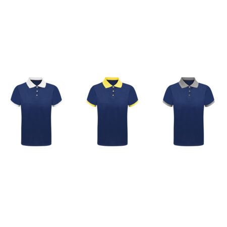 Polo tecnica