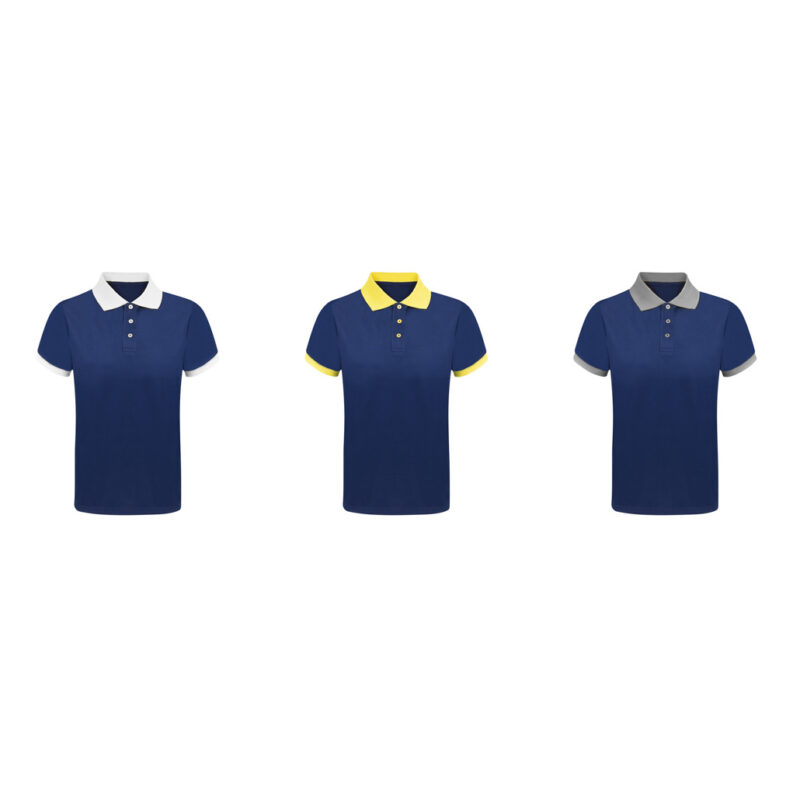 Polo tecnica