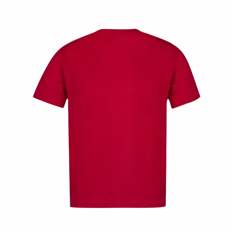T-Shirt Adulto colore - immagine 3