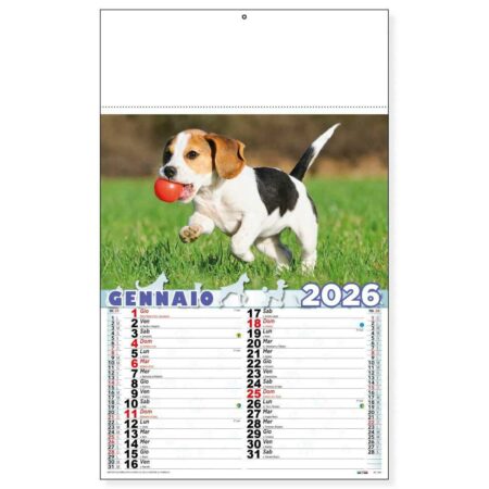 Calendario trimestrale Cani e Gatti