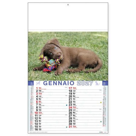Calendario trimestrale Cani e Gatti