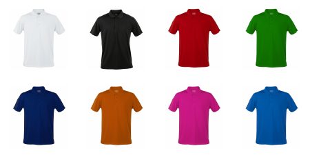 Polo tecnica