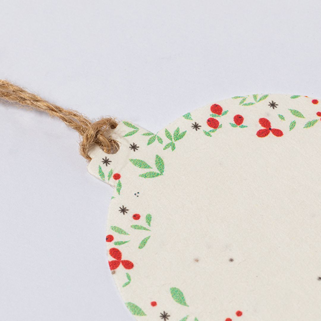 Decorazione Natalizia di Semi - immagine 2
